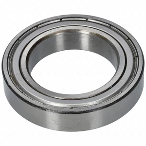 kifutó 6010 ZZ 50x80x16 mm bearing (CBF)
