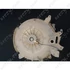 Picture 1/3 -tub + drum (original) AEG washing machine / ORDER ONLY