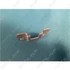 Picture 5/5 -hinge fixing support SIEMENS washing machine / ORDER ONLY