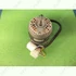 Picture 2/3 -elektromotor gpz 850 gorenje hood / ORDER ONLY