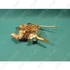 Picture 2/3 -gas tap oven (original) GORENJE/MORA oven / ORDER ONLY
