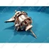 Picture 4/7 -motor WHIRLPOOL dryer machine / ORDER ONLY