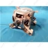 Picture 2/5 -motor (fő) (original) WHIRLPOOL washing machine / ORDER ONLY