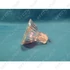 Picture 2/3 -20W bulb GU4 (original) WHIRLPOOL hood / ORDER ONLY