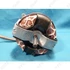 Picture 5/5 -motor (original) WHIRLPOOL hood / ORDER ONLY