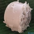 Picture 5/11 -tub + drum (original) WHIRLPOOL washing machine / ORDER ONLY