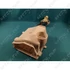 Picture 3/7 -housing (detergent dispenser) LG pl:wd10302nup washing machine / ORDER ONLY