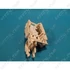 Picture 7/7 -door lock szerkezet (original) TEKA dishwasher / ORDER ONLY