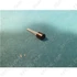Picture 4/6 -transistor bf199 550mhz (bf224 helyett) / ORDER ONLY