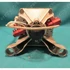 Picture 4/4 -motor (original) INDESIT washing machine / ORDER ONLY
