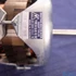 Picture 5/7 -motor (original) INDESIT dryer machine / ORDER ONLY