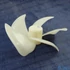 Picture 2/2 -shovel, fan (original) SAMSUNG refrigerator / ORDER ONLY