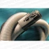 Picture 4/4 -hose (original) SAMSUNG vacuum cleaner / ORDER ONLY