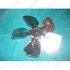 Picture 1/5 -fan shovel UNIVERZÁLIS metal 230mm /szívó/23°/rendelésre