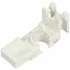 Picture 2/2 -himba holder grácia, HAJDU / ORDER ONLY