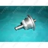Picture 1/6 -bearing romo / ORDER ONLY