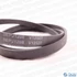 Picture 6/6 -1208 5epj ribbed belt, black (original) HAIER washing machine / ORDER ONLY
