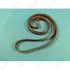 Picture 2/2 -1190 j5 ribbed belt, black (MEGADYNE) washing machine / ORDER ONLY