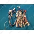 Picture 2/3 -wiring harness  (original) FAGOR dishwasher / ORDER ONLY